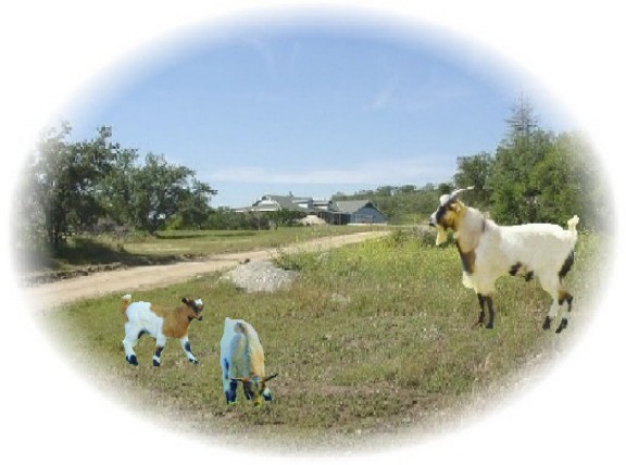 Entrance to Triple-T Ranch